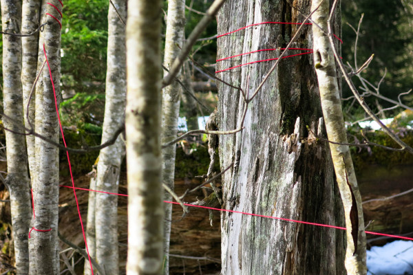 Kunst Natur Erlebnis ars eco lab 6447